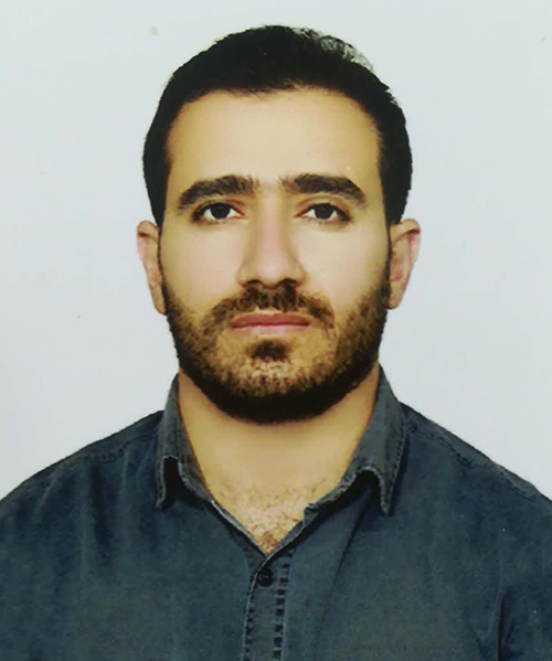 فرید الدین ملک محمودی